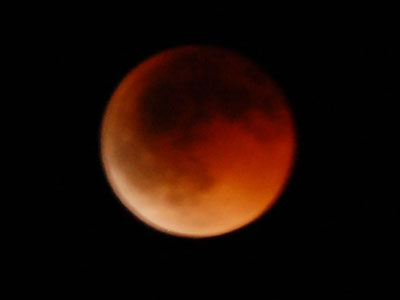 DSC_0220.jpg