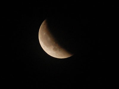 DSC_0278.jpg