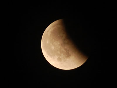 DSC_0311.jpg