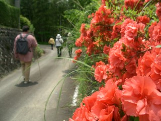 CIMG0609.JPG